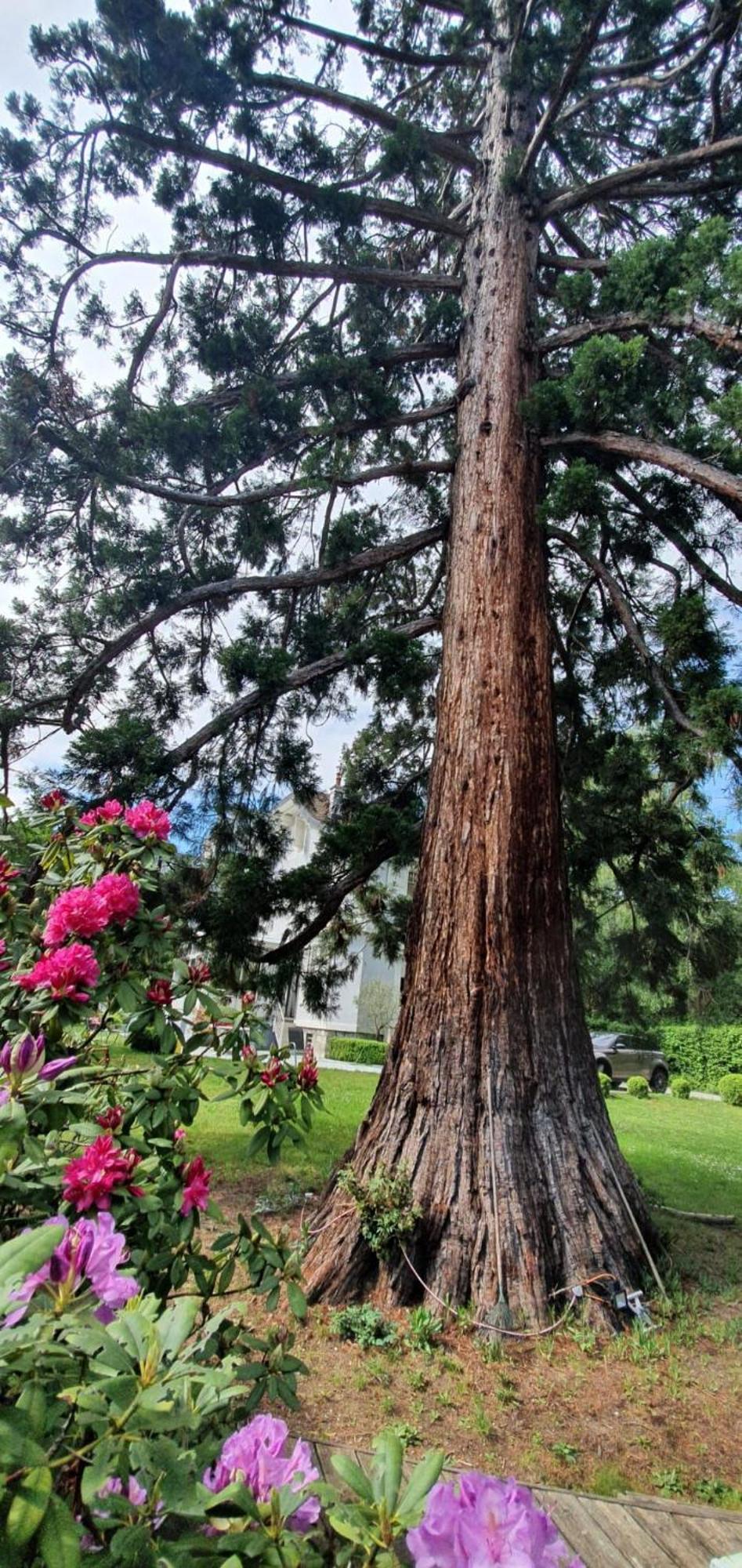 Résidence Montblanc Duplex Avec Jacuzzi Appartement