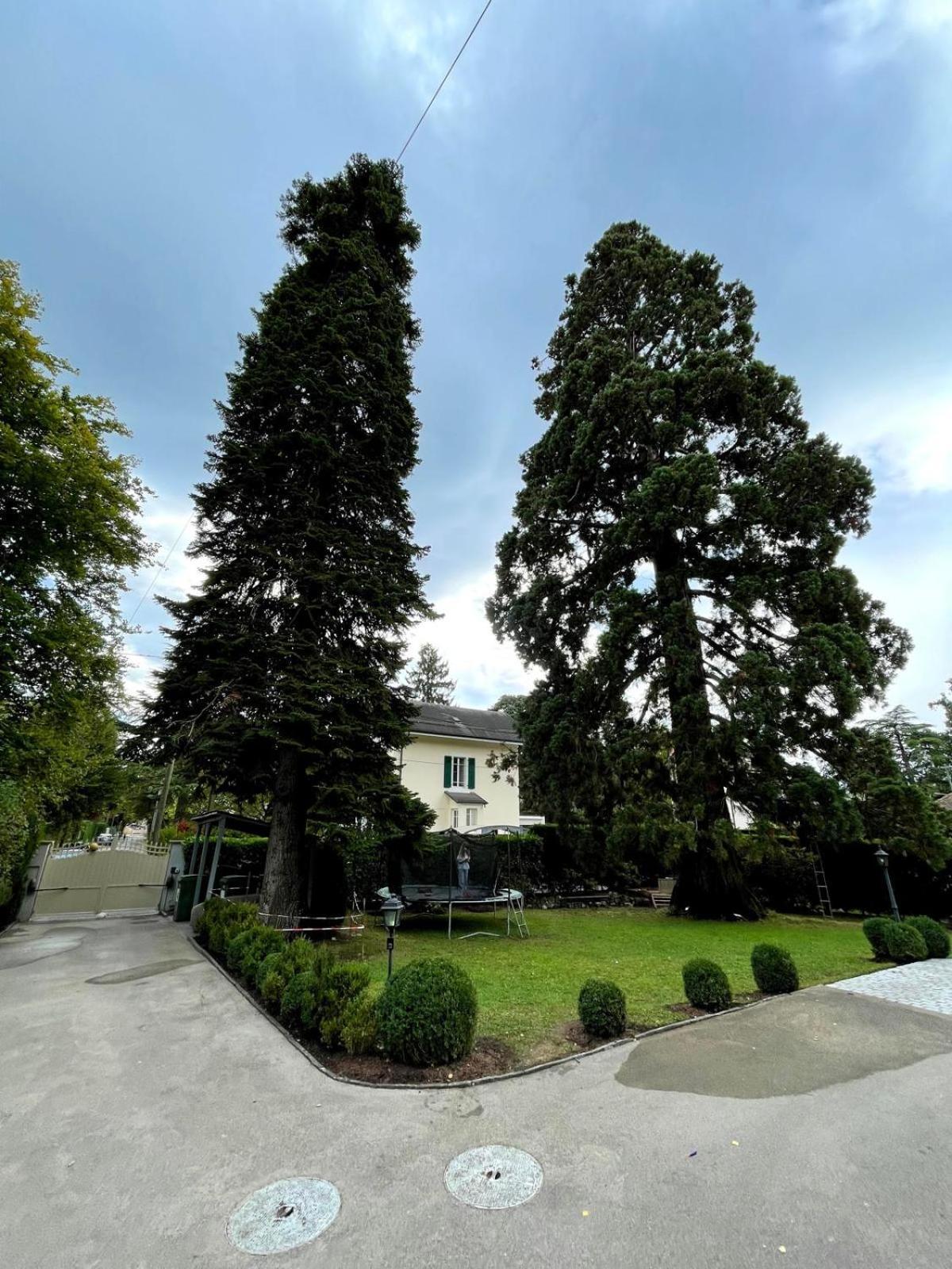 Montblanc Duplex Avec Jacuzzi *